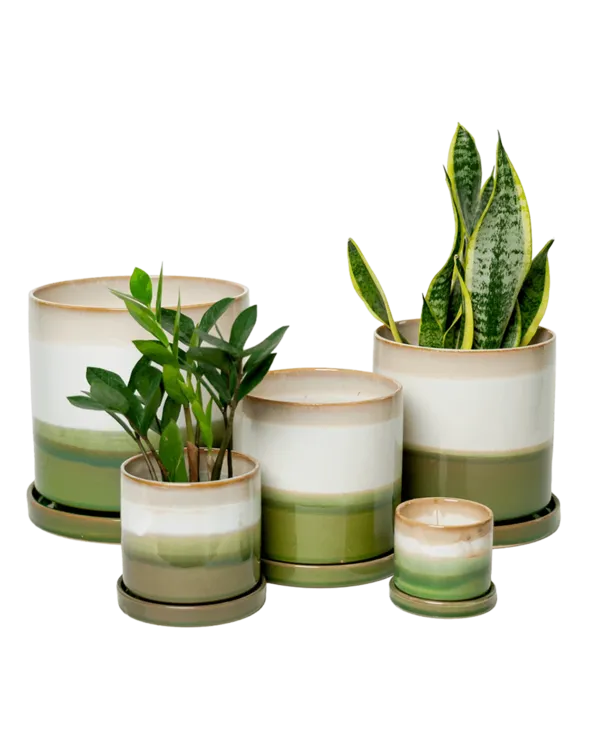 Collection of gradient glazed ceramic planters in green and cream