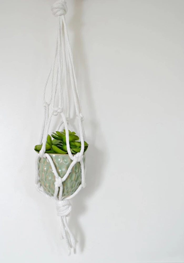 Macrame hanger holding a speckled green pot with a succulent